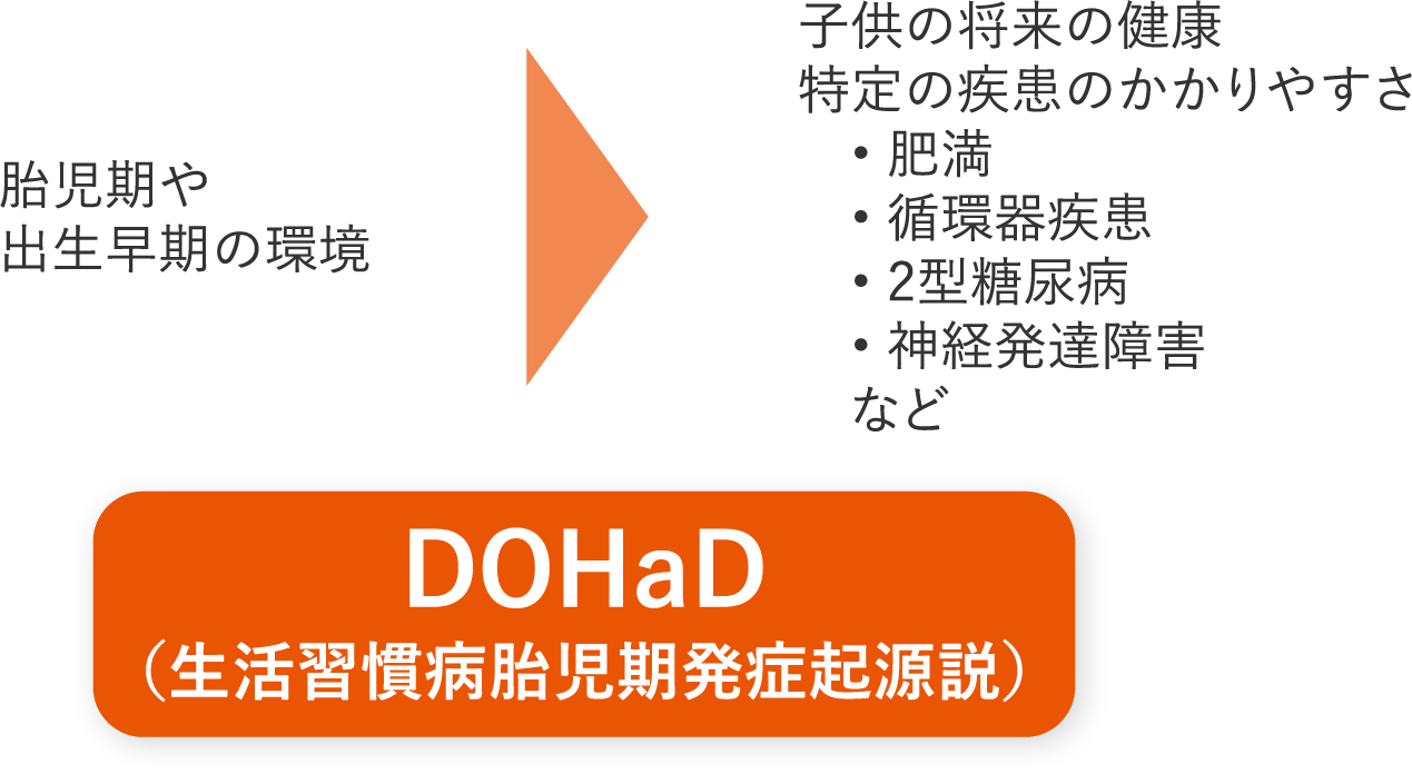 DOHaD(生活習慣病胎児期発症起源説)